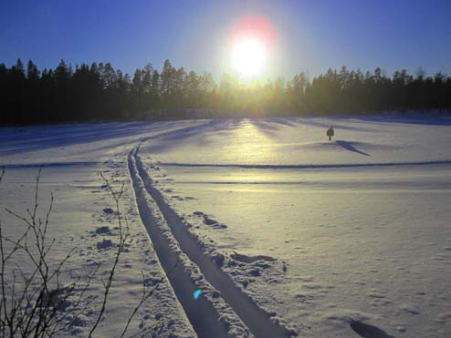 Hamptjärnen